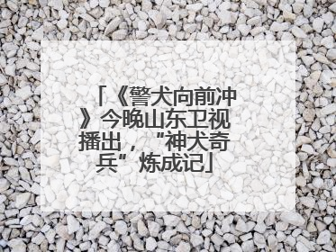 《警犬向前冲》今晚山东卫视播出，“神犬奇兵”炼成记