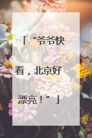 “爷爷快看，北京好漂亮！”