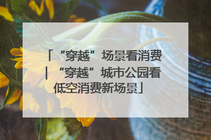 “穿越”场景看消费｜“穿越”城市公园看低空消费新场景