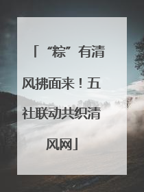 “粽”有清风拂面来！五社联动共织清风网