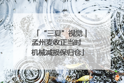 “三夏”视觉｜孟州麦收正当时 机械减损保归仓