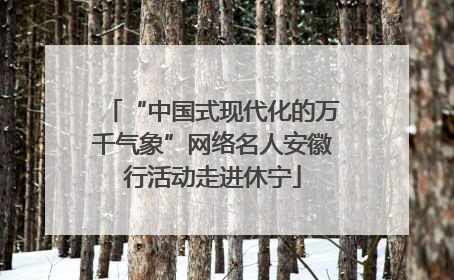 “中国式现代化的万千气象”网络名人安徽行活动走进休宁