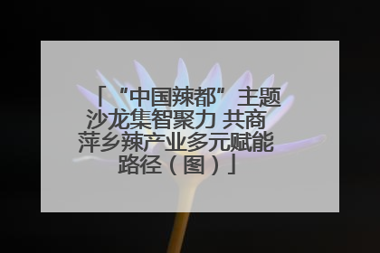 “中国辣都”主题沙龙集智聚力 共商萍乡辣产业多元赋能路径（图）