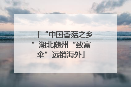“中国香菇之乡”湖北随州“致富伞”远销海外