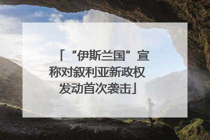 “伊斯兰国”宣称对叙利亚新政权发动首次袭击