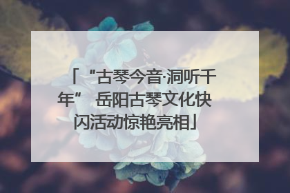 “古琴今音·洞听千年” 岳阳古琴文化快闪活动惊艳亮相