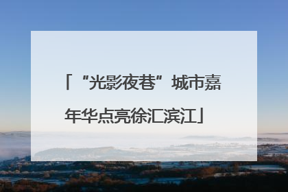“光影夜巷”城市嘉年华点亮徐汇滨江