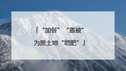 “加餐”“盖被” 为黑土地“增肥”