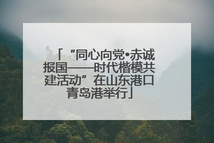 “同心向党•赤诚报国——时代楷模共建活动”在山东港口青岛港举行