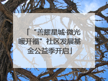 “善耀星城·微光暖开福”社区发展基金公益季开启