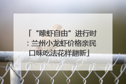 “嗦虾自由”进行时：兰州小龙虾价格亲民口味吃法花样翻新