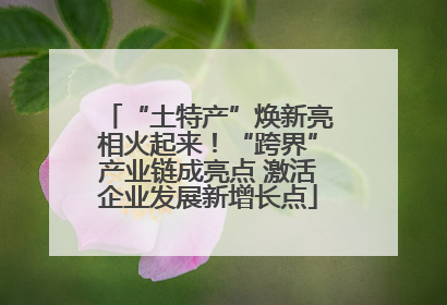 “土特产”焕新亮相火起来！“跨界”产业链成亮点 激活企业发展新增长点