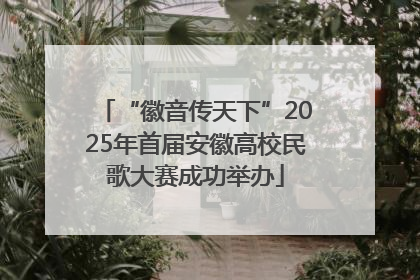 “徽音传天下”2025年首届安徽高校民歌大赛成功举办