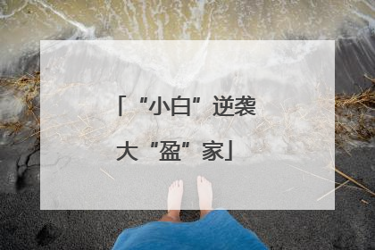 “小白”逆袭大“盈”家