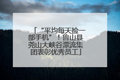 “平均每天捡一部手机”！鲁山县尧山大峡谷漂流集团表彰优秀员工