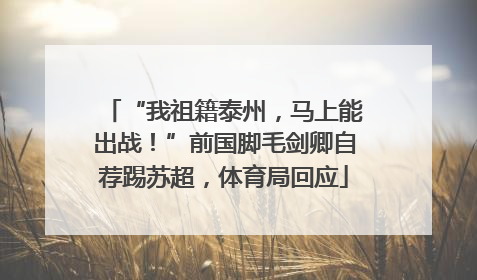 “我祖籍泰州，马上能出战！”前国脚毛剑卿自荐踢苏超，体育局回应