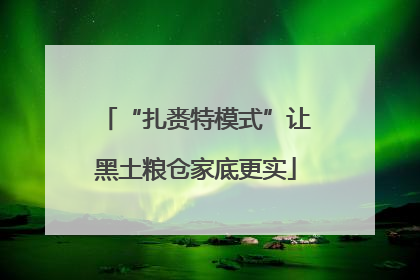 “扎赉特模式”让黑土粮仓家底更实