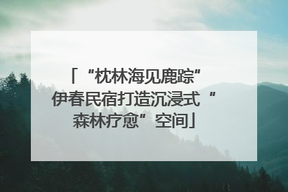 “枕林海见鹿踪” 伊春民宿打造沉浸式“森林疗愈”空间