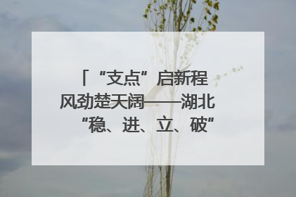“支点”启新程 风劲楚天阔——湖北“稳、进、立、破”谱写“荆”彩篇章
