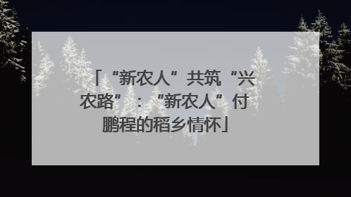 “新农人”共筑“兴农路”：“新农人”付鹏程的稻乡情怀