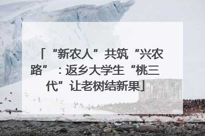 “新农人”共筑“兴农路”：返乡大学生“桃三代”让老树结新果