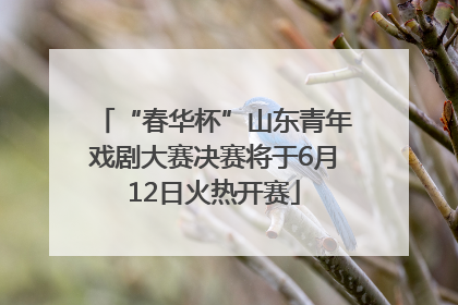 “春华杯”山东青年戏剧大赛决赛将于6月12日火热开赛