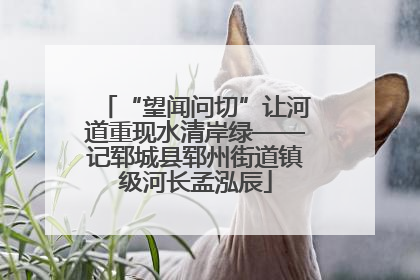 “望闻问切”让河道重现水清岸绿——记郓城县郓州街道镇级河长孟泓辰