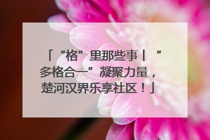 “格”里那些事丨“多格合一”凝聚力量，楚河汉界乐享社区！