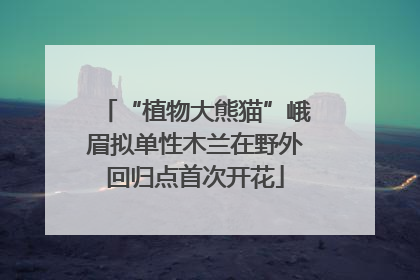 “植物大熊猫”峨眉拟单性木兰在野外回归点首次开花