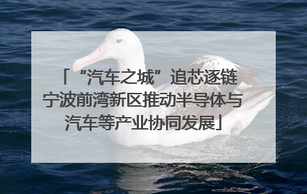 “汽车之城”追芯逐链 宁波前湾新区推动半导体与汽车等产业协同发展