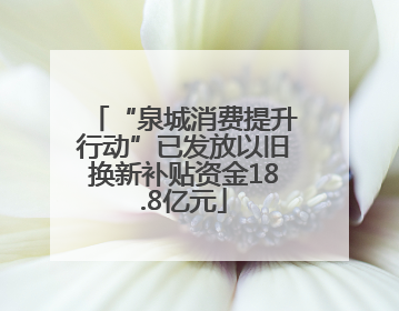 “泉城消费提升行动”已发放以旧换新补贴资金18.8亿元