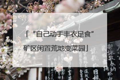 “自己动手丰衣足食”矿区闲置荒地变菜园