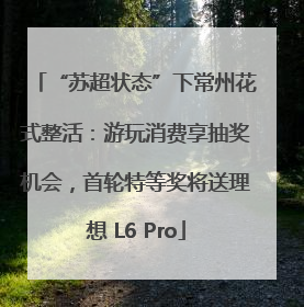 “苏超状态”下常州花式整活：游玩消费享抽奖机会，首轮特等奖将送理想 L6 Pro