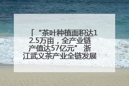 “茶叶种植面积达12.5万亩，全产业链产值达57亿元” 浙江武义茶产业全链发展“加速度”