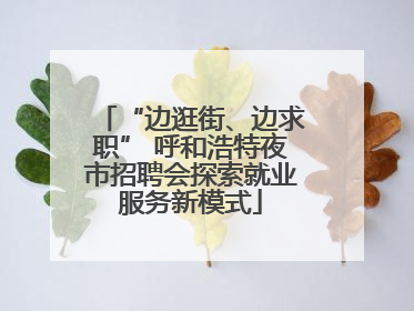 “边逛街、边求职” 呼和浩特夜市招聘会探索就业服务新模式