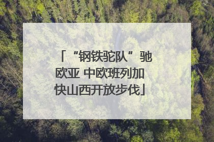 “钢铁驼队”驰欧亚 中欧班列加快山西开放步伐