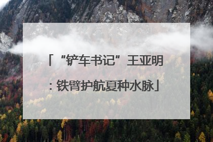 “铲车书记”王亚明：铁臂护航夏种水脉