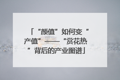 “颜值”如何变“产值”——“赏花热”背后的产业图谱