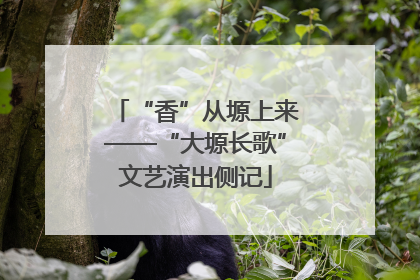 “香”从塬上来——“大塬长歌”文艺演出侧记
