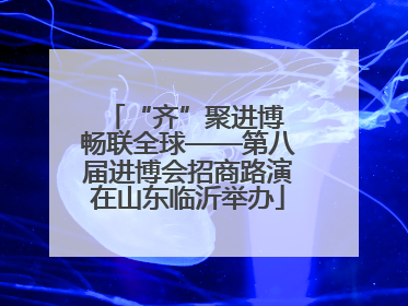 “齐”聚进博 畅联全球——第八届进博会招商路演在山东临沂举办