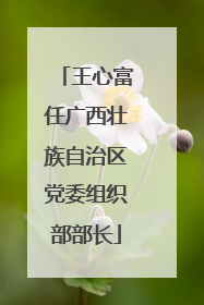 王心富任广西壮族自治区党委组织部部长