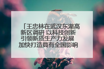 王忠林在武汉东湖高新区调研 以科技创新引领新质生产力发展 加快打造具有全国影响力的科技创新高地