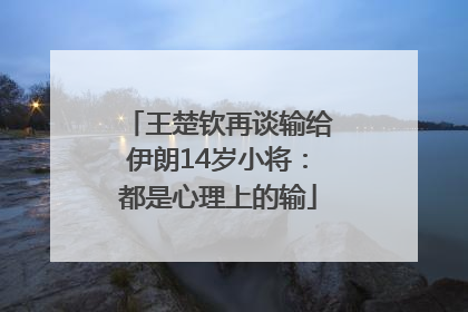 王楚钦再谈输给伊朗14岁小将：都是心理上的输