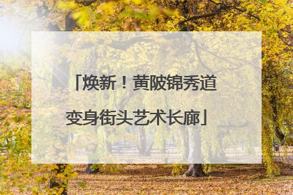 焕新！黄陂锦秀道变身街头艺术长廊