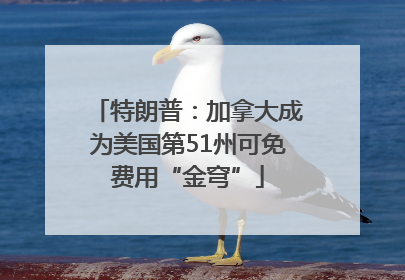 特朗普：加拿大成为美国第51州可免费用“金穹”