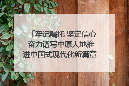 牢记嘱托 坚定信心 奋力谱写中原大地推进中国式现代化新篇章（六）河南绘就“行走河南·读懂中国”新画卷丨牢记嘱托谱新篇