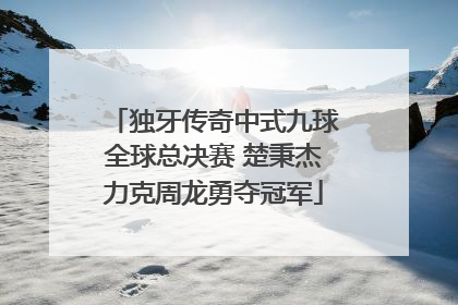 独牙传奇中式九球全球总决赛 楚秉杰力克周龙勇夺冠军