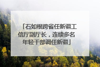 石如根跨省任新疆工信厅副厅长，连续多名年轻干部调任新疆