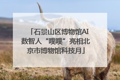 石景山区博物馆AI数智人“噗噗”亮相北京市博物馆科技月