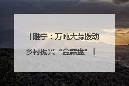 睢宁：万吨大蒜拨动乡村振兴“金蒜盘”